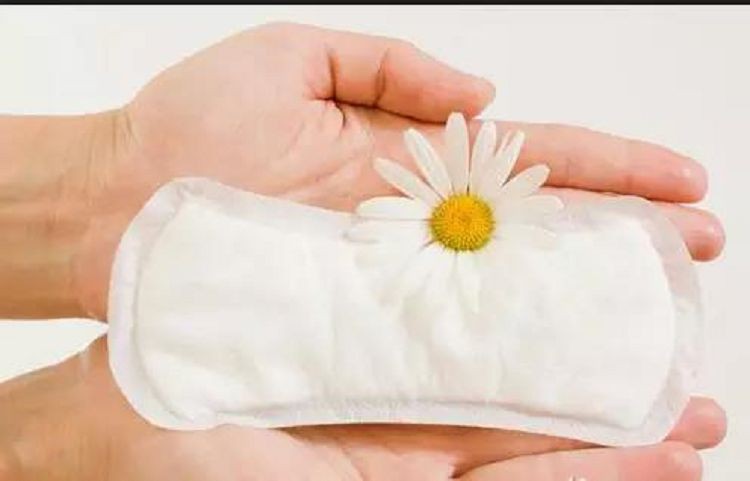 plush sanitary pads(001)